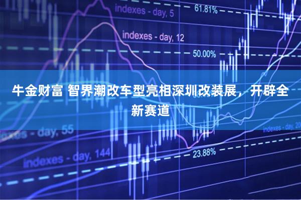 牛金财富 智界潮改车型亮相深圳改装展，开辟全新赛道